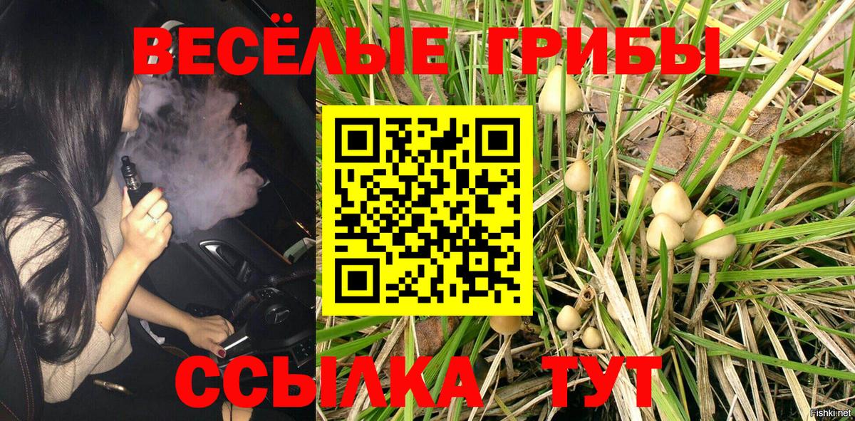 Ханты-Мансийск  Псилоцибиновые грибы GOLDEN TEACHER  Вход с VPN 