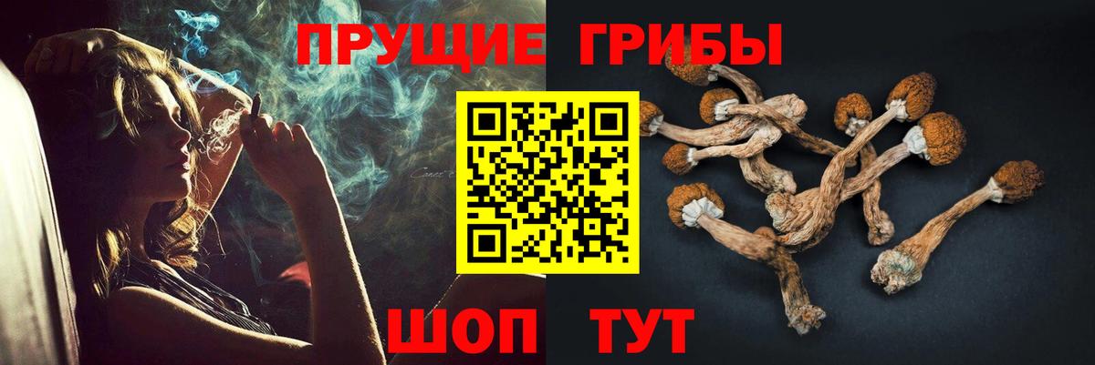 Галлюциногенные грибы Psilocybine cubensis Ханты-Мансийск